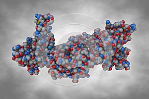 Human monoclonal antibody with SARS-CoV-2 nucleocarsid protein NTD. Atoms are shown as spheres with color coding: carbon photo