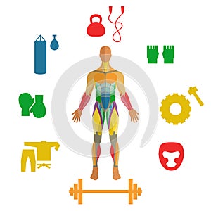 Human muscles with icons of sport equipment