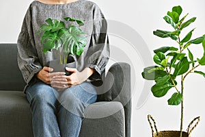 Human and nature, Houseplants growing in living room for indoor air purification and home decorative