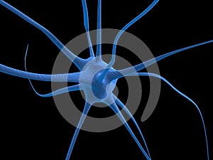 Human nerve cell