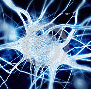 Human nerve cells illustration