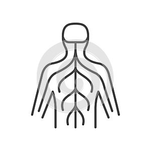 Human nervous system line icon