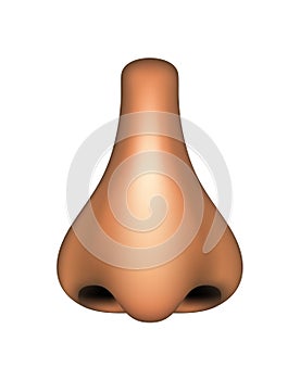 Human nose