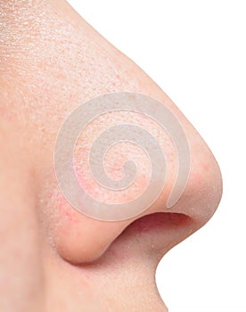 Human nose