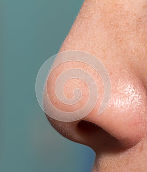 Human nose