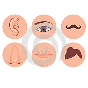 Human nose, ear, mouth mustache hair and eye set