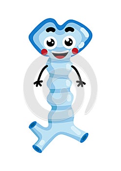 Human oesophagus cute cartoon character photo