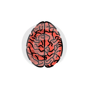 Human organ flat icon