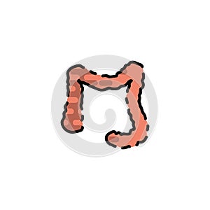 Human organ flat icon