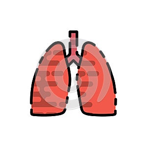 Human organ flat icon