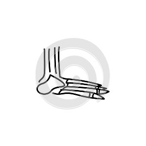 Human organ foot bones outline icon. Signs and symbols can be used for web, logo, mobile app, UI, UX