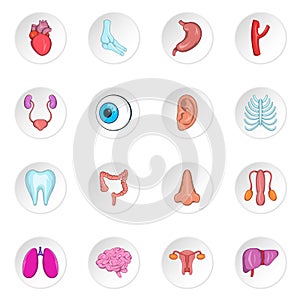 Human organ icons, cartoon style