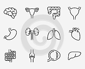 Human organ icons or organs symbols