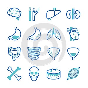 Human organ icons set