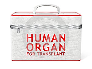 Human organ for transplant box. 3D illustration