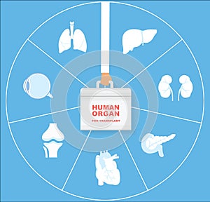 Human organ for transplant icon set. Transplantation of organs concept.