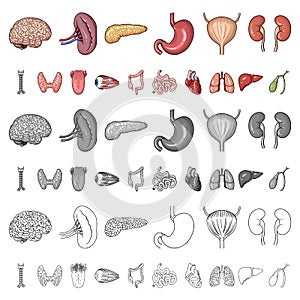 Human organs cartoon icons in set collection for design. Anatomy and internal organs vector symbol stock web