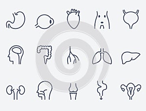 Human organs icons set