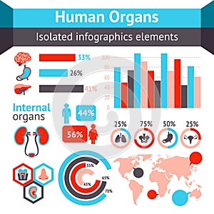 Human organs infographic