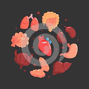 Human Organs of Round Shape, Medical Science Innovation for Health Care, Transplantation, Bioengineering Concept Vector