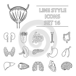 Human organs set icons in outline style. Big collection of human organs vector symbol stock illustration