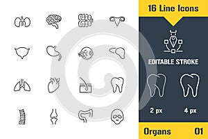 Human Organs Structure, Anatomy. Thin line icon - Outline flat vector illustration. Editable stroke pictogram. Premium quality