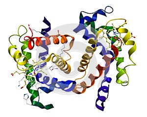 Human oxyhemoglobin molecular structure photo