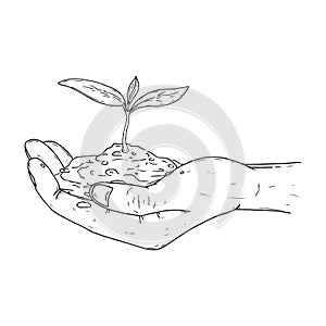 Human palms hold a young sprout icon. Vector illustration a hand holds a handful of earth with a flower.