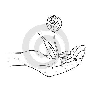 Human palms hold a young sprout icon. Vector illustration a hand holds a handful of earth with a flower.