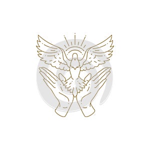 Human palms holding flying pigeon sun light symbol esoteric freedom love wellness line icon vector