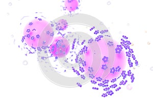 Human papillomavirus HPV infection, conceptual image, medical 3D illustration