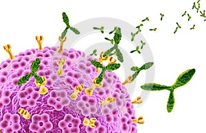 Human papillomaviruses HPV marked by antibodies, medically 3D illustration