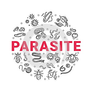 Human parasites. Set of vector linear icons.