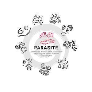Human parasites. Set of vector linear icons.