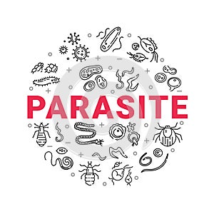 Human parasites. Set of vector linear icons. photo