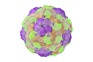 Human Parechovirus on white background