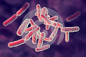 Human pathogenic bacteria