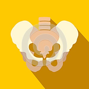 Human pelvis flat icon with shadow
