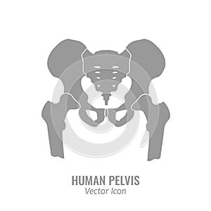 Human Pelvis Icon