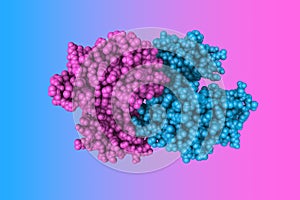 Human phosphatidylinositol 4-kinase III beta in complex with ligand. Rendering with differently colored protein chains