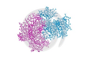 Human phosphatidylinositol 4-kinase III beta in complex with ligand. Rendering with differently colored protein chains