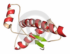 Human prion protein (hPrP), chemical structure. 3D rendering. Associated with neurodegenerative diseases, including kuru, BSE and