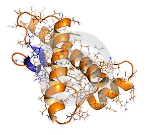 Human prion protein (hPrP), chemical structure. Associated with