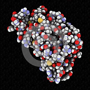 Human prion protein (hPrP), chemical structure. Associated with neurodegenerative diseases, including kuru, BSE and Creutzfeldt-