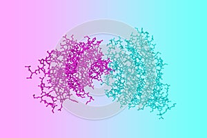 Human progesterone receptor ligand binding domain in complex with ligand metribolone. Molecular model. 3d illustration