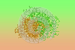 Human quinone reductase 2. Rendering with differently colored protein chains based on protein data bank. 3d illustration