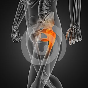 Human radiography scan