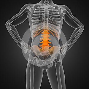 Human radiography scan