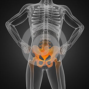 Human radiography scan