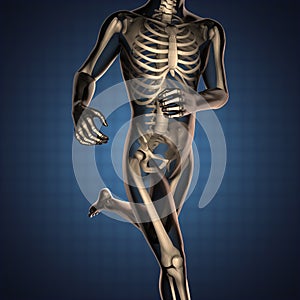 Human radiography scan with bones